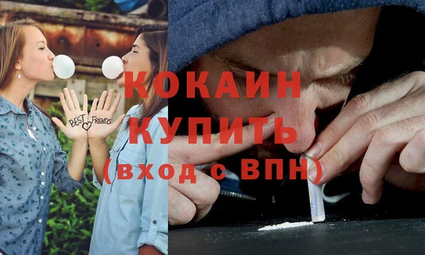 ПСИЛОЦИБИНОВЫЕ ГРИБЫ Горняк